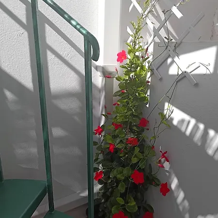 Casa Vitamin Sea Апартаменты Калета-де-Фусте